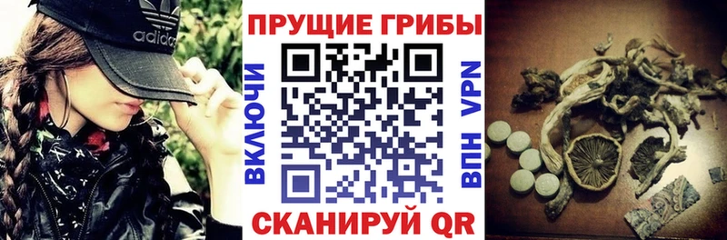 Псилоцибиновые грибы GOLDEN TEACHER  нарко площадка как зайти  Заволжск  закладки 